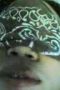 27eae413398c5599fc3030c93fc598bd.jpeg
