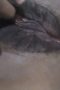 9e258885416c6d865811461692fbc844.jpeg